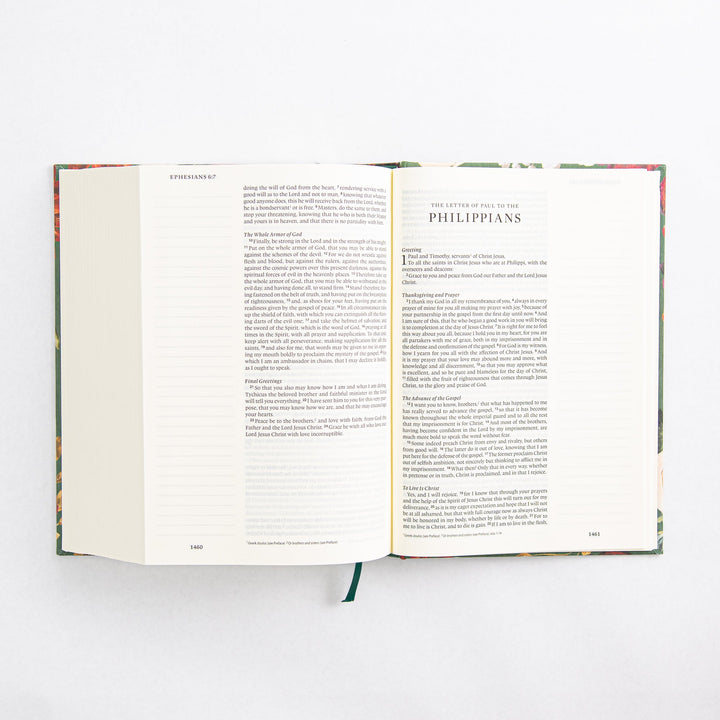 ESV Large Print Journaling Bible - Hardcover - Hollis Theme