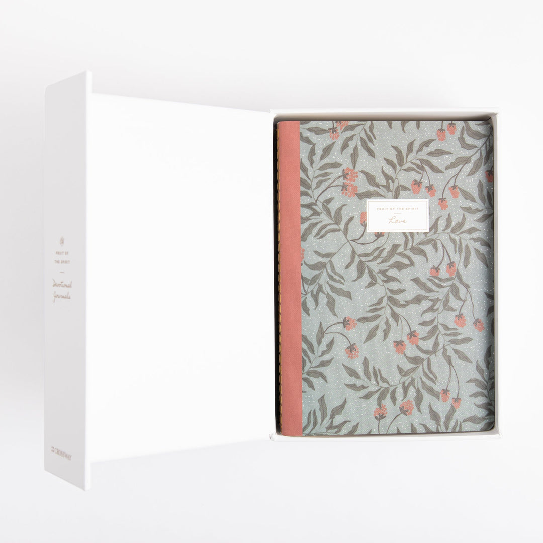 ESV Devotional Journal - Fruit of the Spirit - Box Set