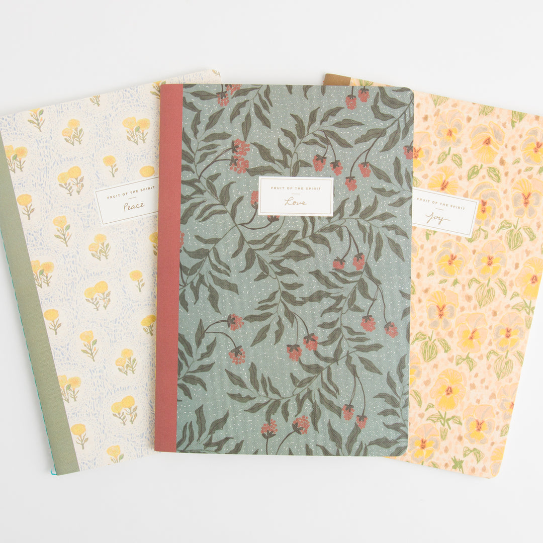 ESV Devotional Journal - Fruit of the Spirit - Box Set