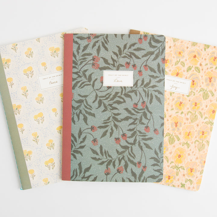 ESV Devotional Journal - Fruit of the Spirit - Box Set