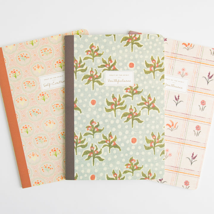 ESV Devotional Journal - Fruit of the Spirit - Box Set