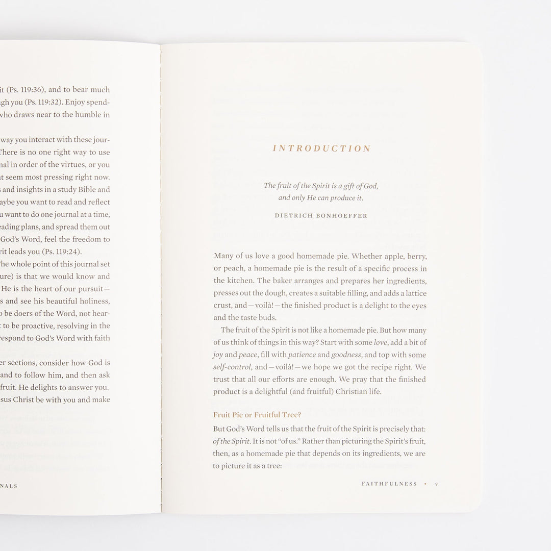 ESV Devotional Journal - Fruit of the Spirit - Box Set