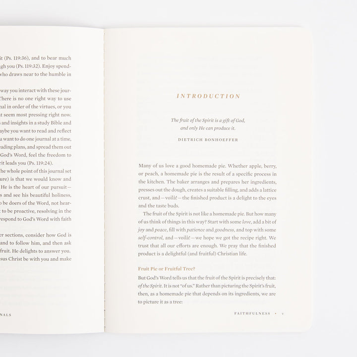 ESV Devotional Journal - Fruit of the Spirit - Box Set
