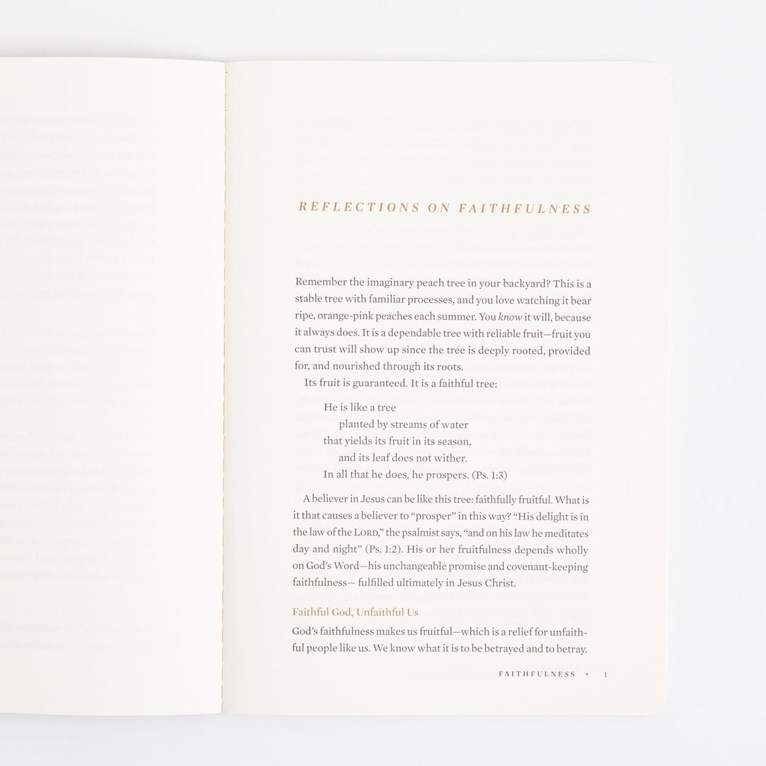 ESV Devotional Journal - Fruit of the Spirit - Box Set