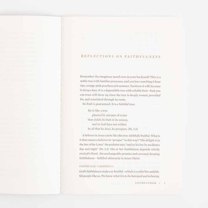 ESV Devotional Journal - Fruit of the Spirit - Box Set