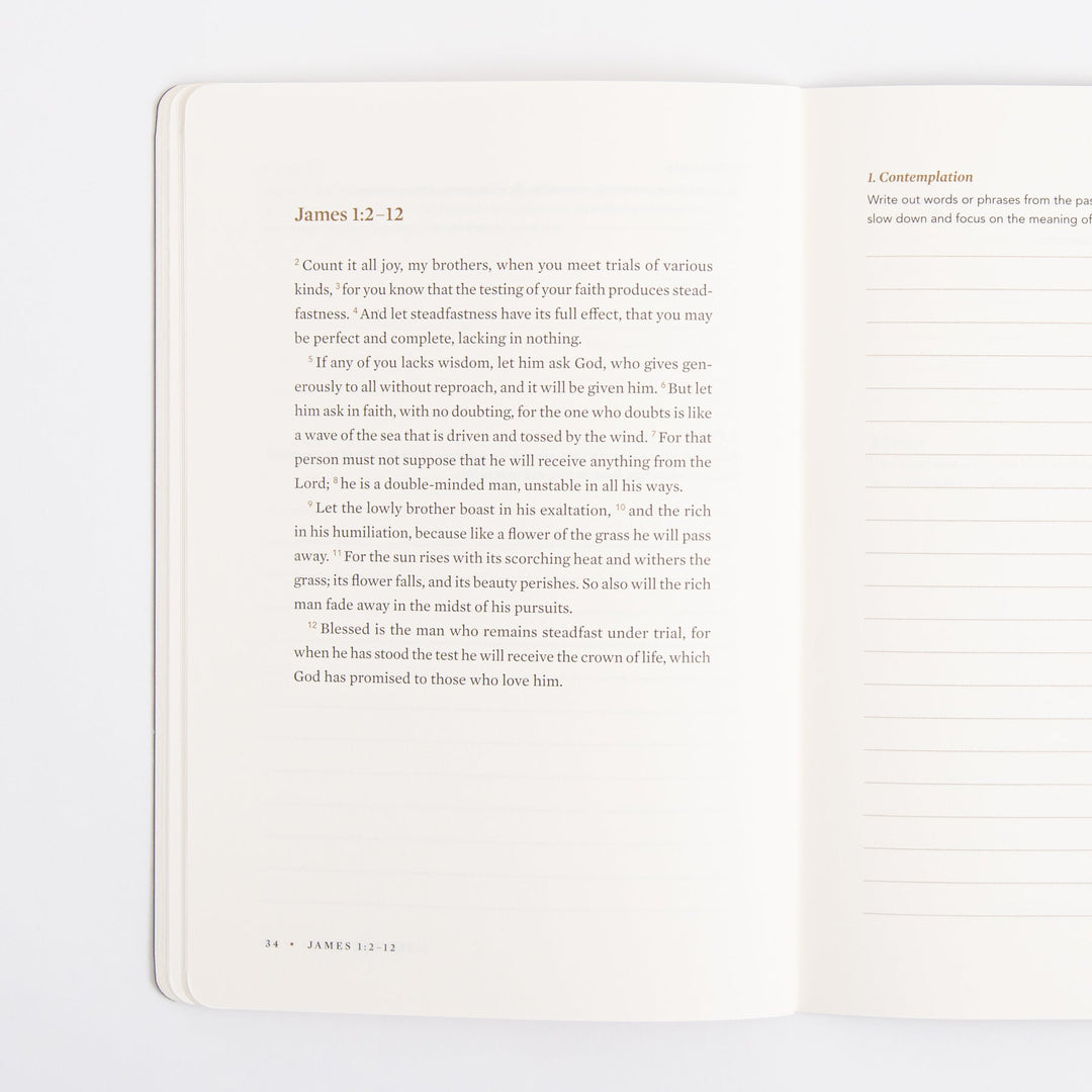 ESV Devotional Journal - Fruit of the Spirit - Box Set