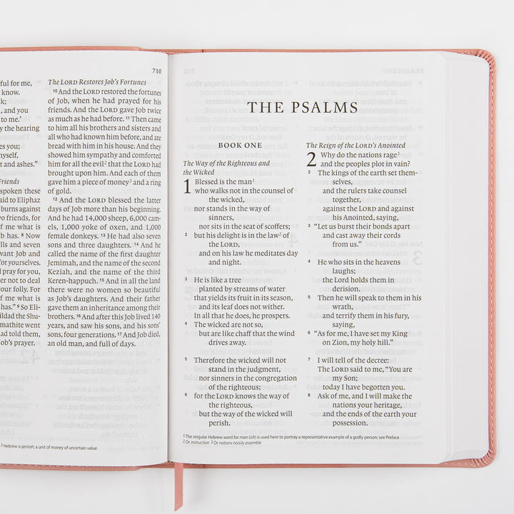ESV Giant Print Bible, Red Letter, Blush Rose TruTone Fleur-de-lis – interior spread 2, 12.5-point double-column text