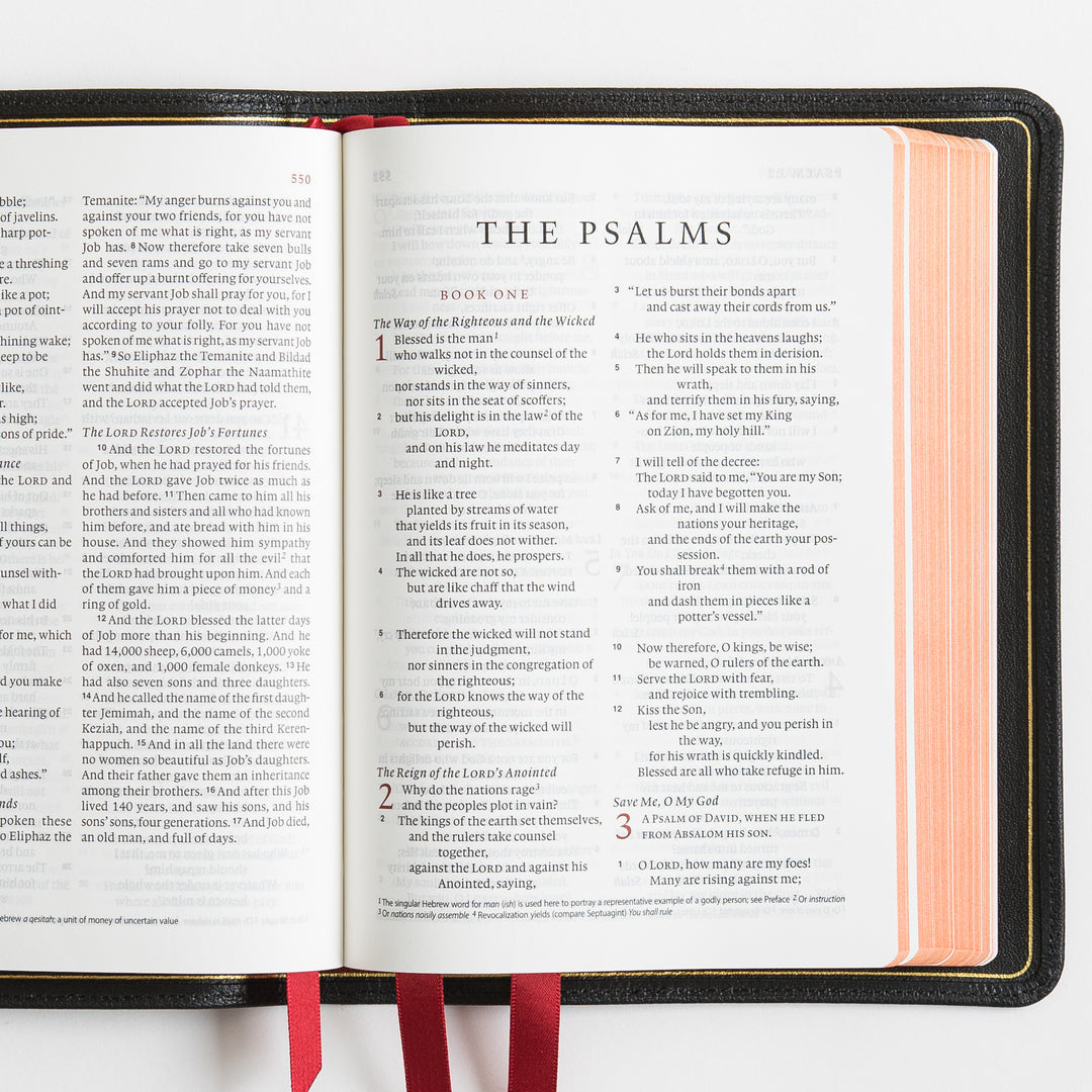 ESV Heirloom Bible, Alpha Personal Size - Goatskin, Black