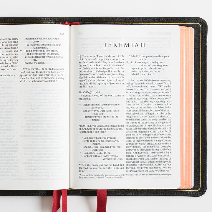 ESV Heirloom Bible, Alpha Personal Size - Goatskin, Black