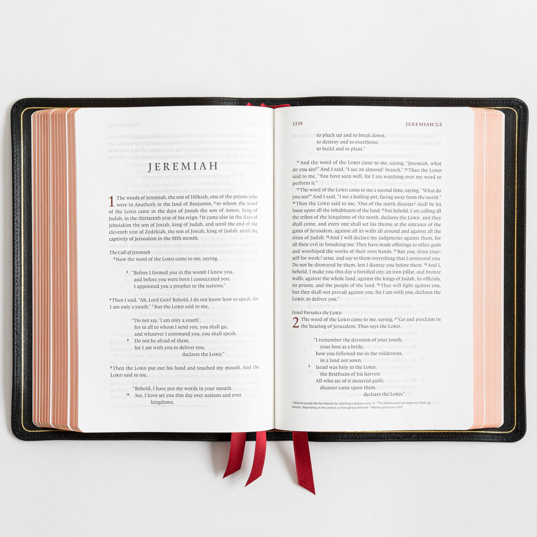 ESV Heirloom Bible, Veritas Single Column - Goatskin, Black