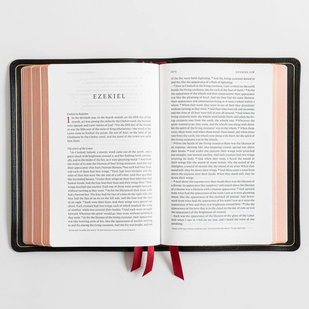 ESV Heirloom Bible, Veritas Single Column - Goatskin, Black