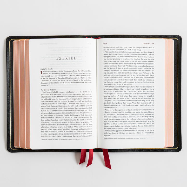 ESV Heirloom Bible, Veritas Single Column - Goatskin, Black