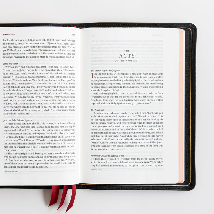 ESV Heirloom Bible, Veritas Single Column - Goatskin, Black