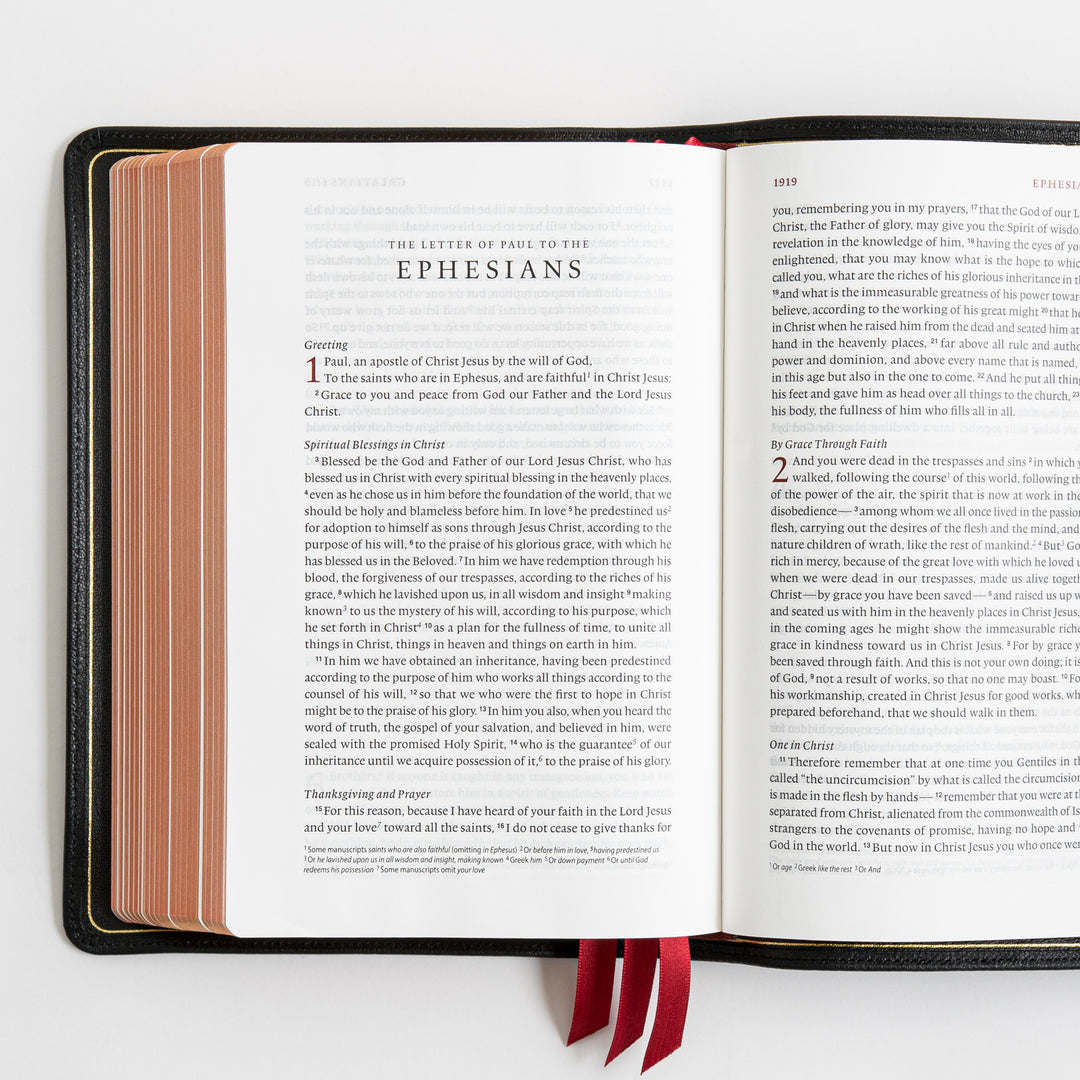 ESV Heirloom Bible, Veritas Single Column - Goatskin, Black