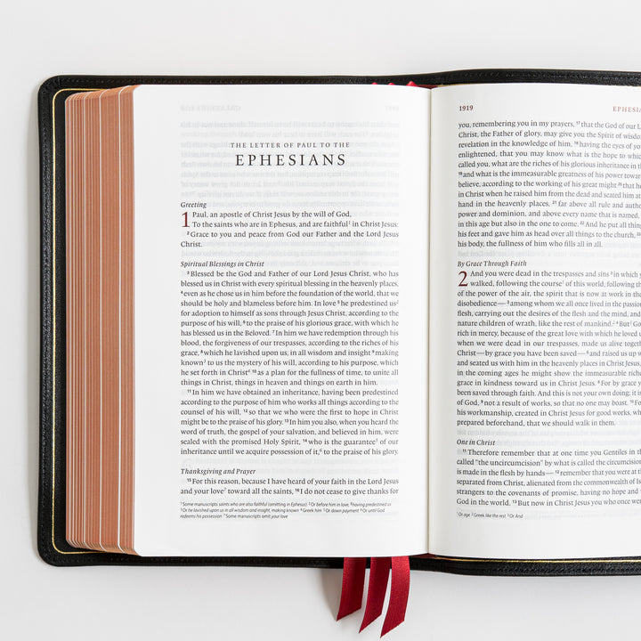 ESV Heirloom Bible, Veritas Single Column - Goatskin, Black