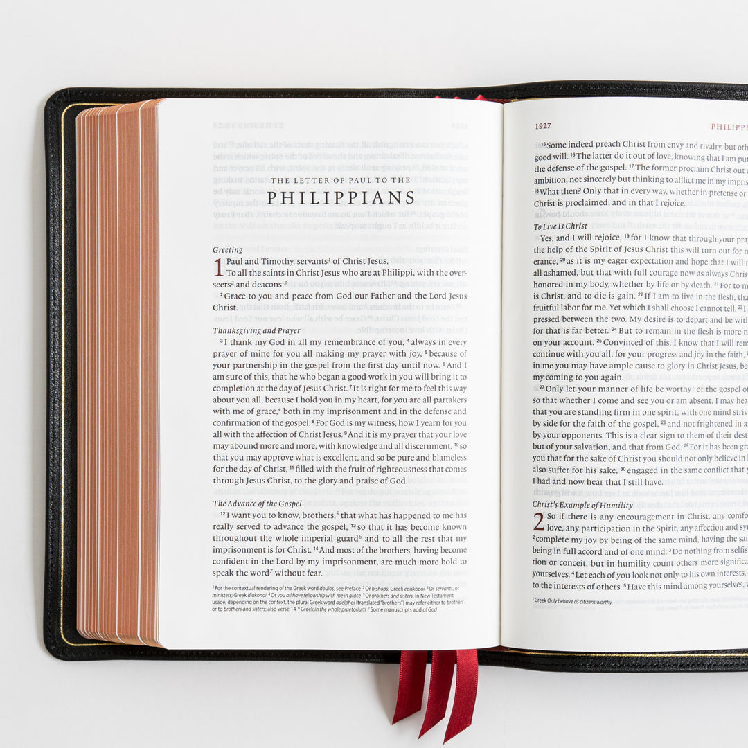 ESV Heirloom Bible, Veritas Single Column - Goatskin, Black