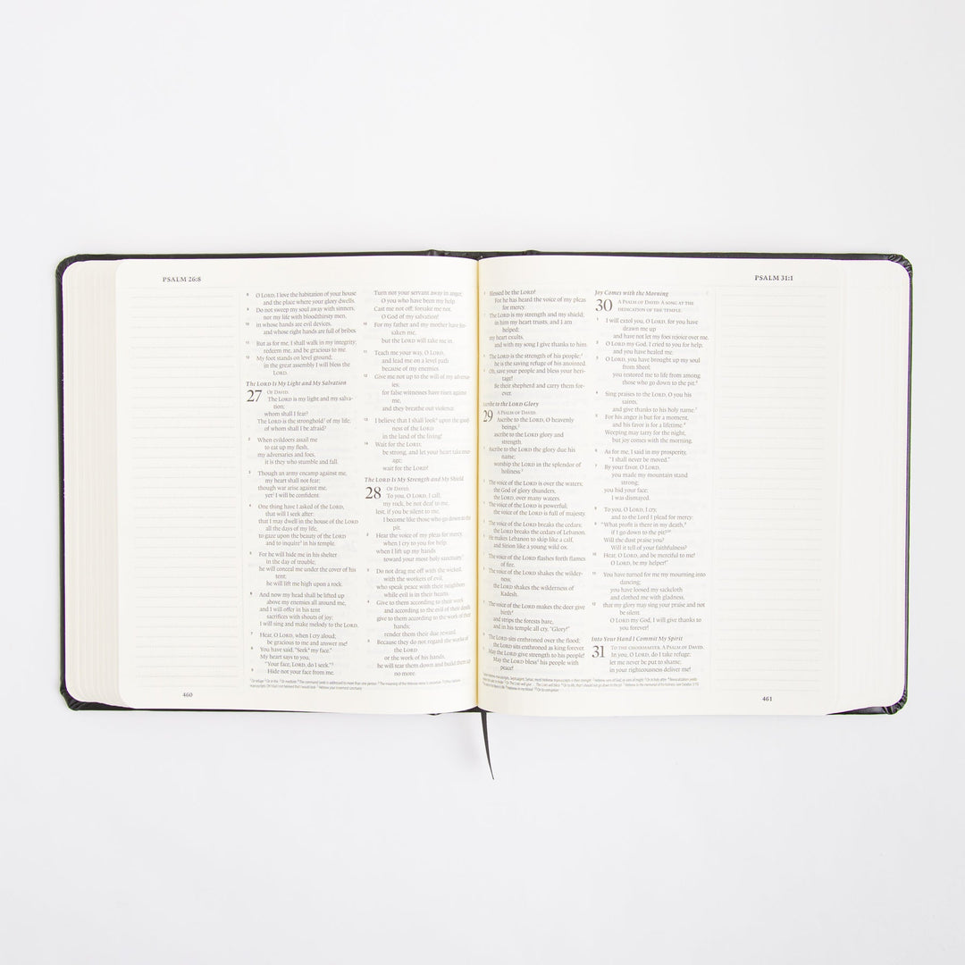 ESV Journaling Bible - Black - Original