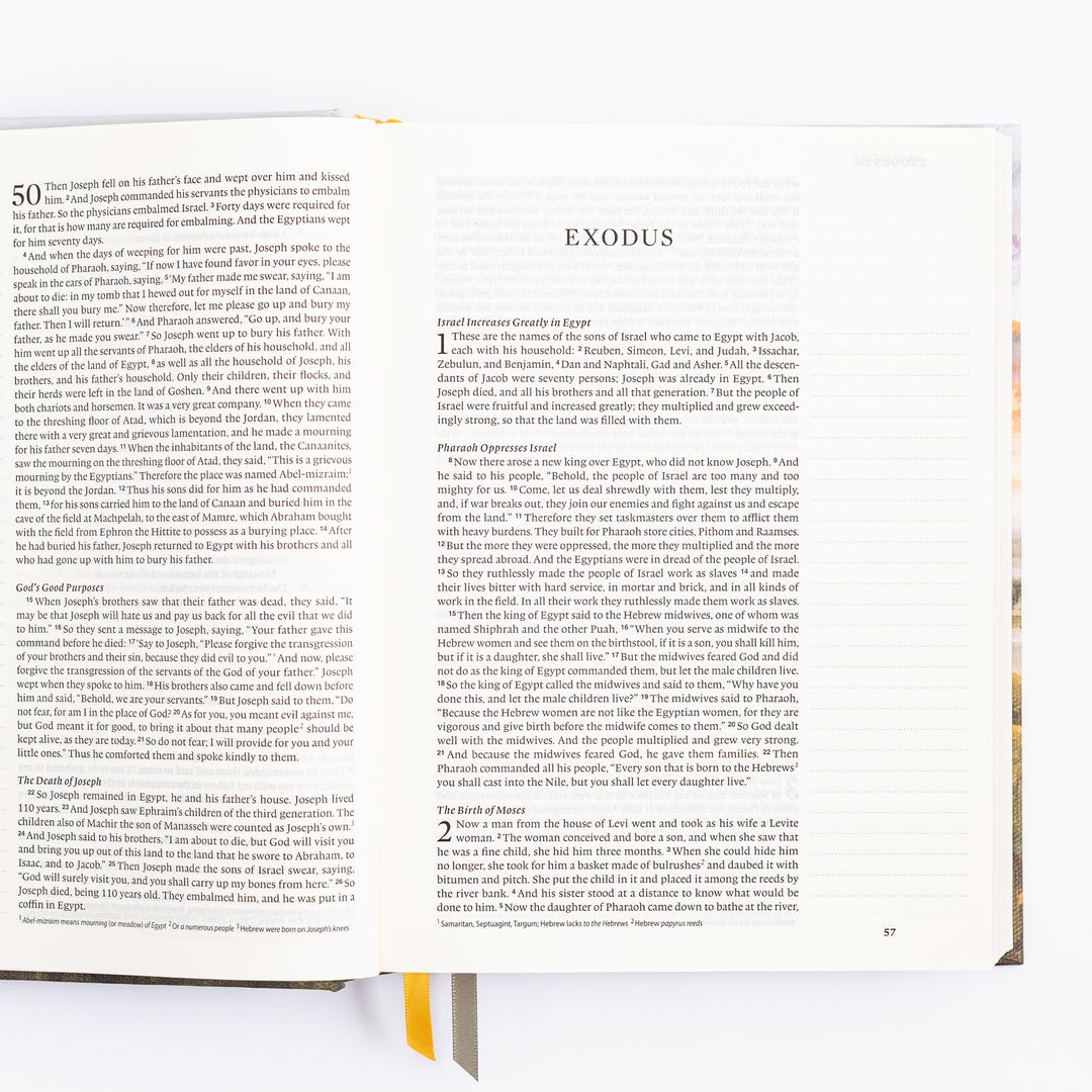 ESV Journaling Bible - Florence Theme