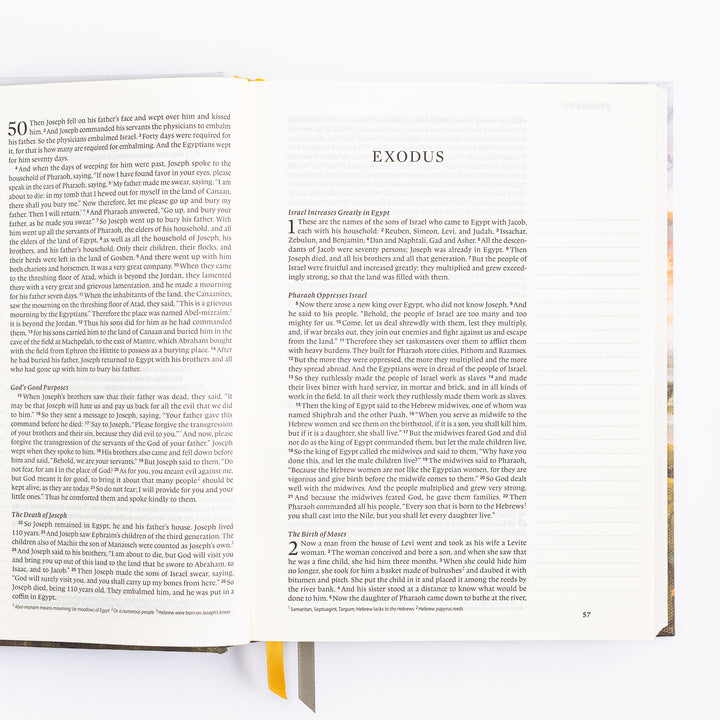 ESV Journaling Bible - Florence Theme