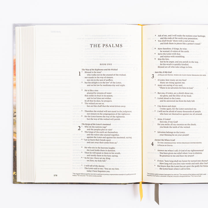 ESV Journaling Bible - Florence Theme