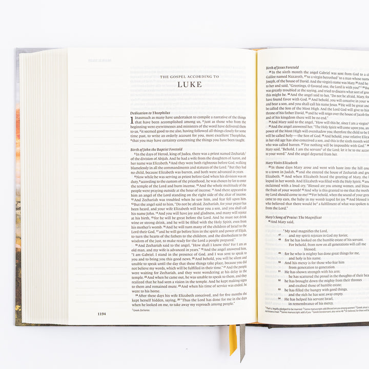 ESV Journaling Bible - Florence Theme