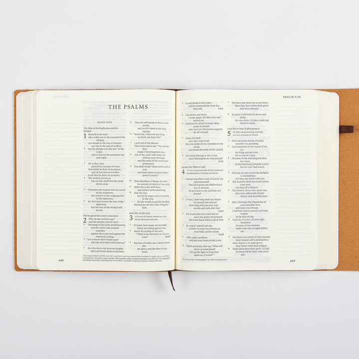 ESV Journaling Bible - Brown - Natural Leather - Flap with Strap