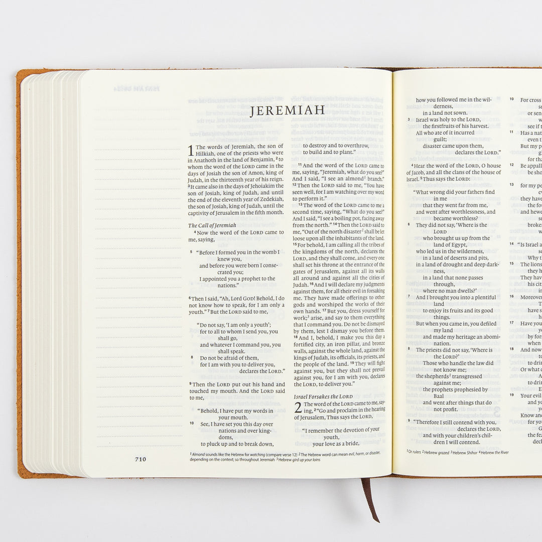 ESV Journaling Bible - Brown - Natural Leather - Flap with Strap