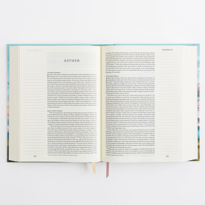 ESV Journaling Bible - Cloth over Board, Santa Lucia