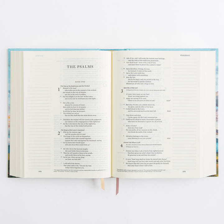 ESV Journaling Bible - Cloth over Board, Santa Lucia