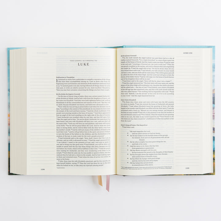 ESV Journaling Bible - Cloth over Board, Santa Lucia