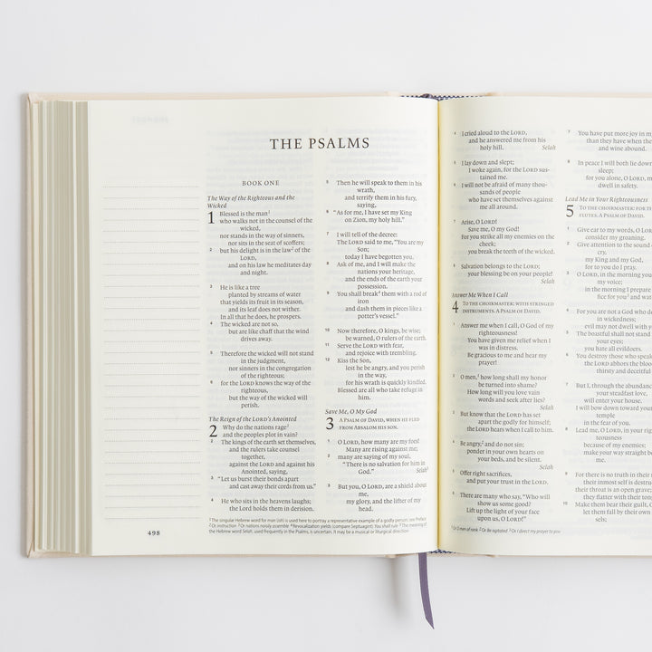 ESV Journaling Bible - Red Letter - Flowers – open spread showing The Psalms opening with lined journaling margins – interior pages