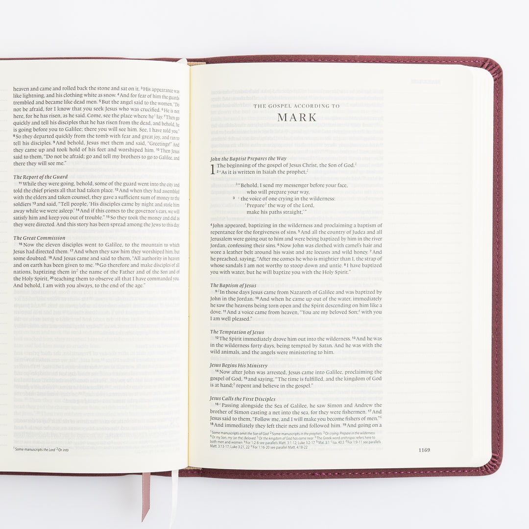 ESV Journaling Bible - Helena Theme
