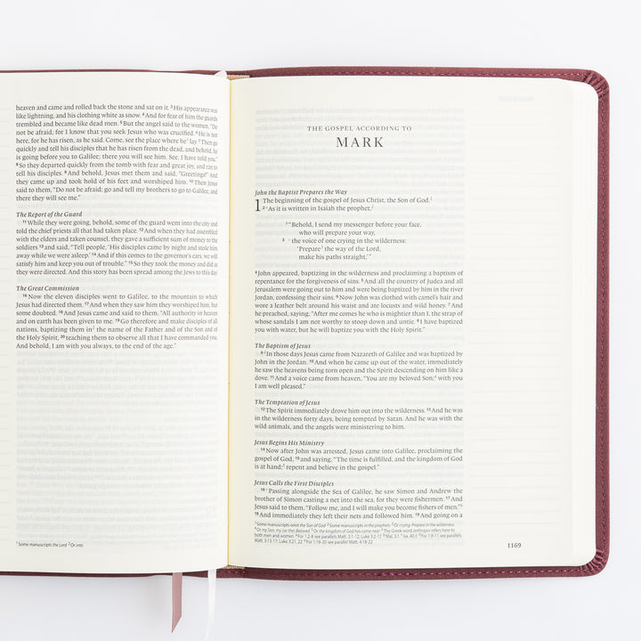 ESV Journaling Bible - Helena Theme