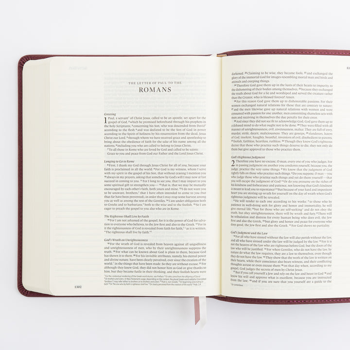 ESV Journaling Bible - Helena Theme