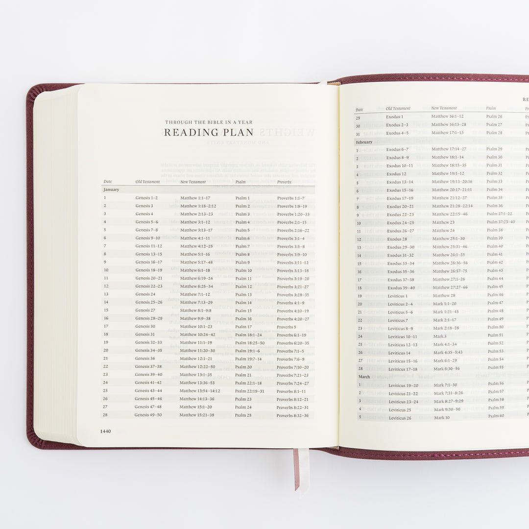 ESV Journaling Bible - Helena Theme