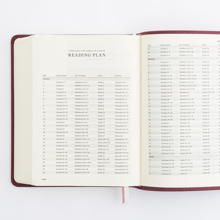 ESV Journaling Bible - Helena Theme