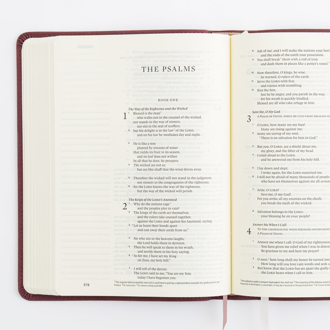 ESV Journaling Bible - Helena Theme