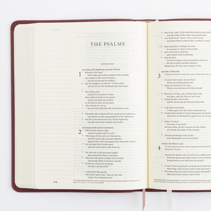 ESV Journaling Bible - Helena Theme