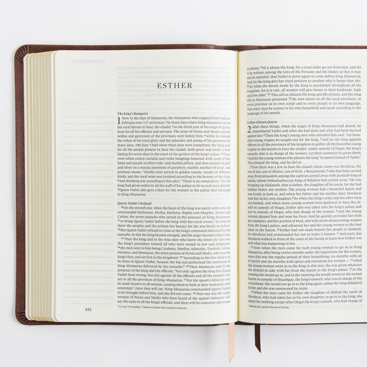 ESV Journaling Bible - Leather-Like, Palma