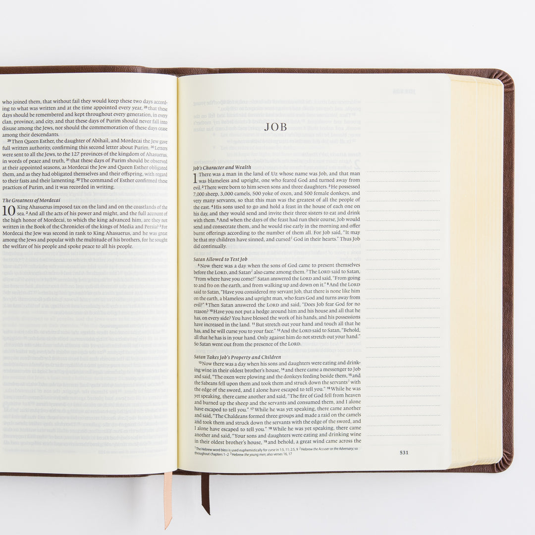ESV Journaling Bible - Leather-Like, Palma