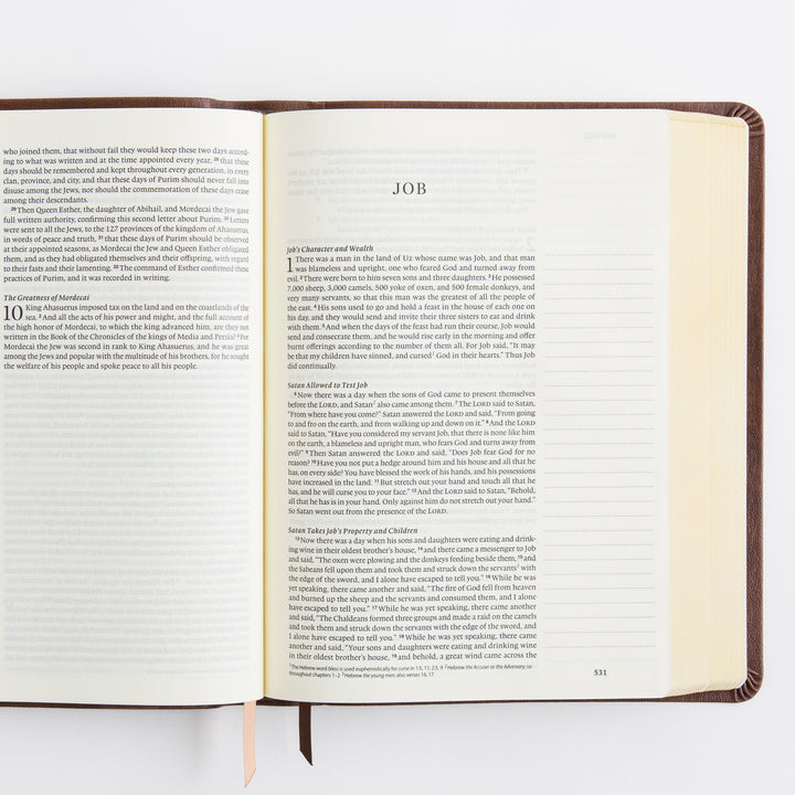 ESV Journaling Bible - Leather-Like, Palma