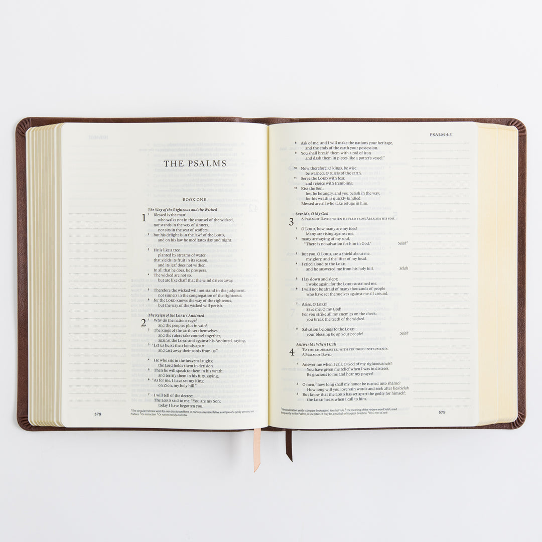 ESV Journaling Bible - Leather-Like, Palma