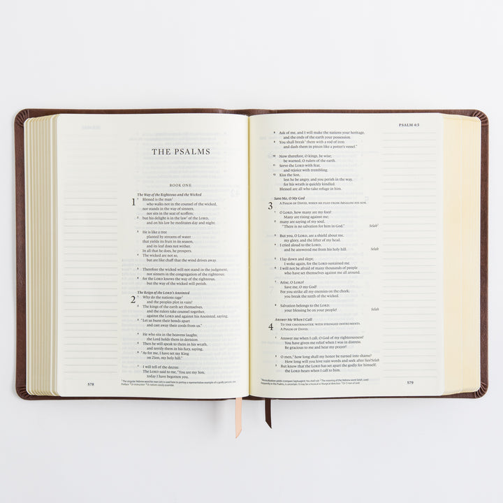 ESV Journaling Bible - Leather-Like, Palma
