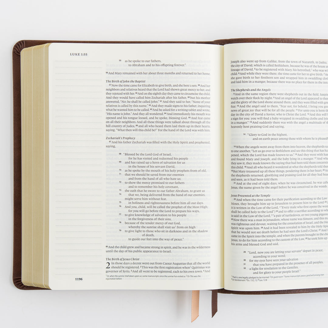 ESV Journaling Bible - Leather-Like, Palma