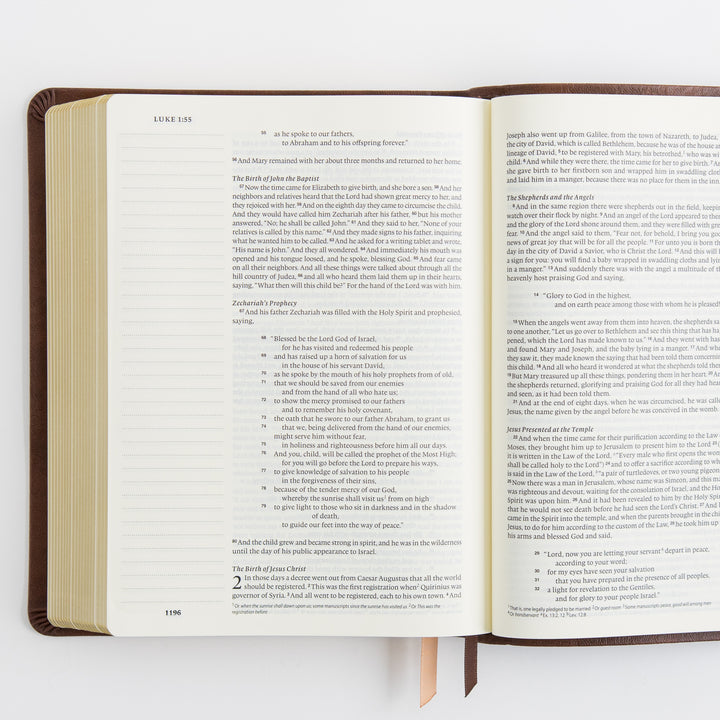 ESV Journaling Bible - Leather-Like, Palma