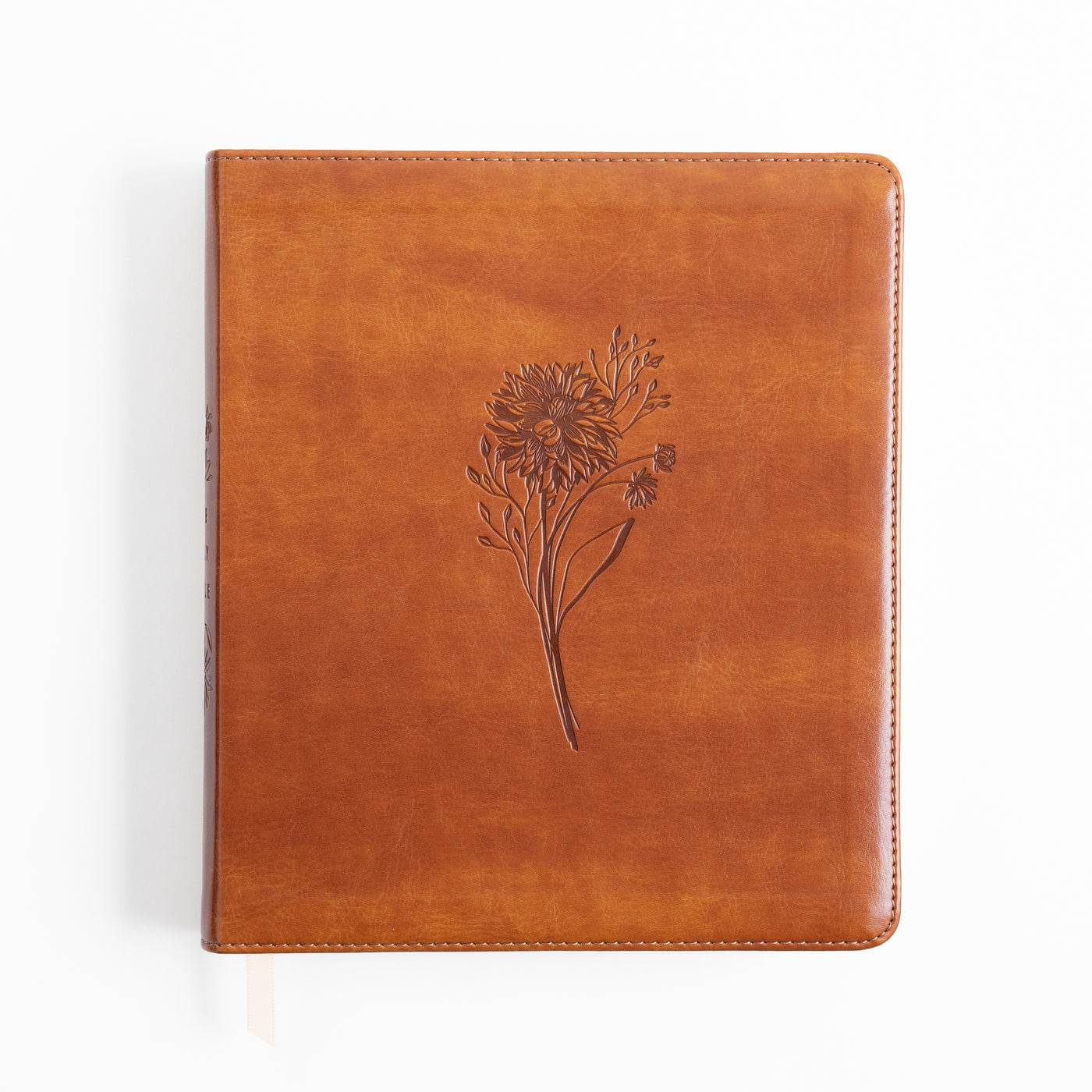 ESV Journaling Bible - Sierra Theme