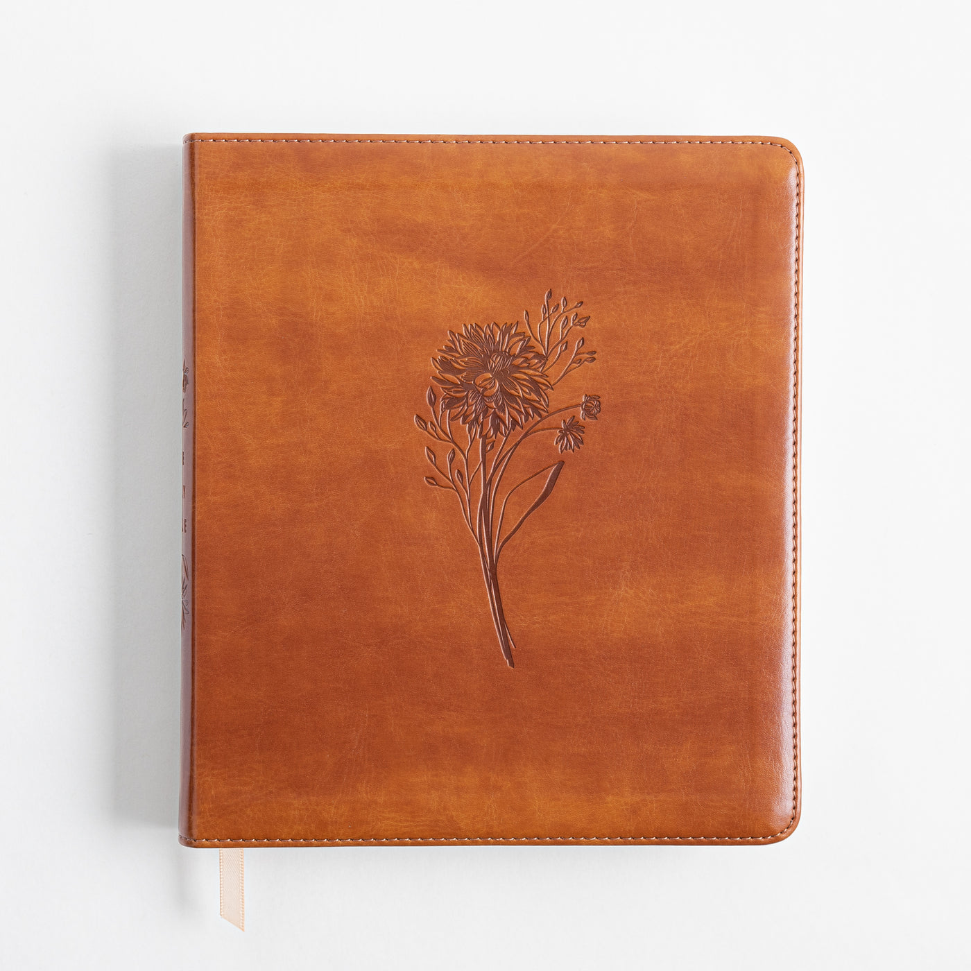 ESV Journaling Bible - Sierra Theme