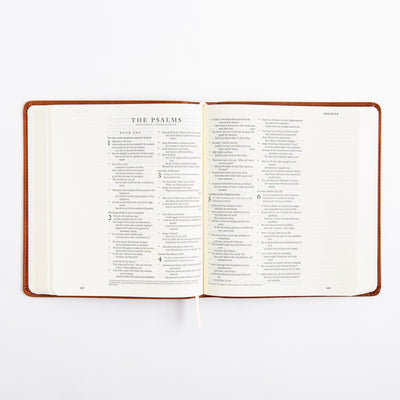 ESV Journaling Bible - Sierra Theme