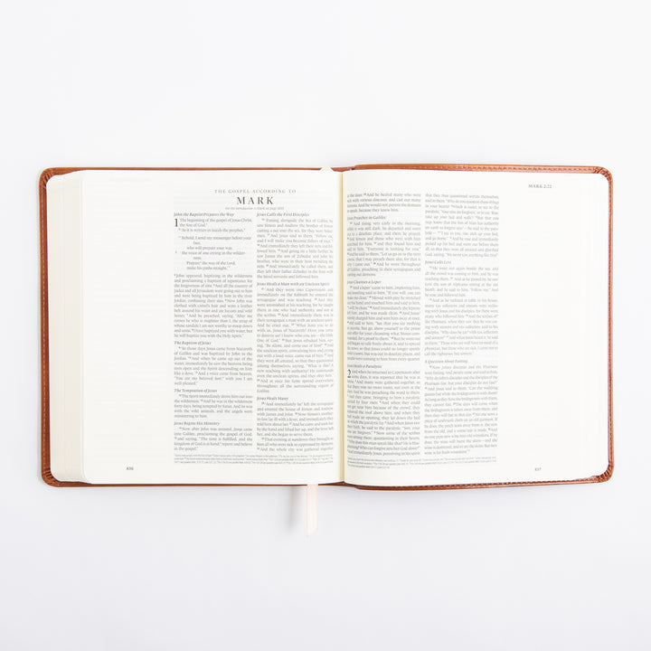 ESV Journaling Bible - Sierra Theme