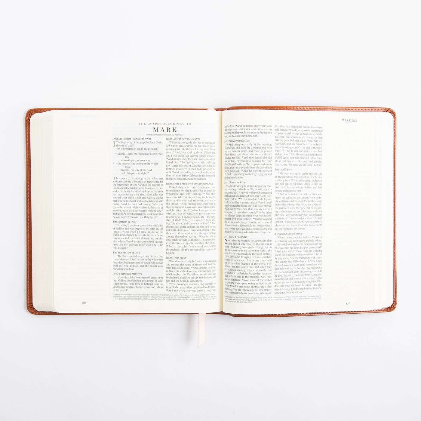 ESV Journaling Bible - Sierra Theme